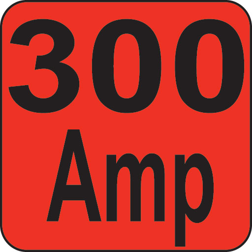 300a
